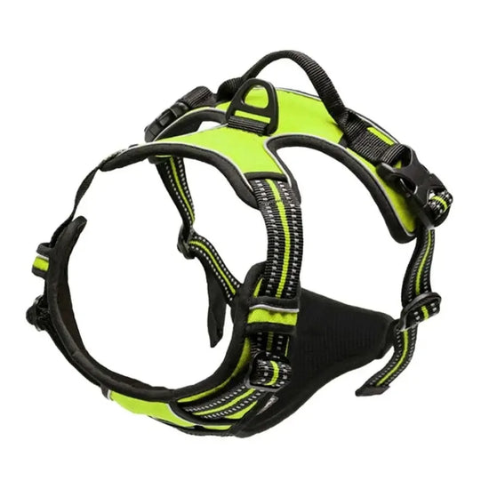 Ensemble Accessoires pour Chiens – Harnais, Collier & Laisse
