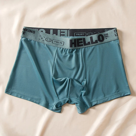 Lot de 5 Boxers Homme – Glace de Soie Respirante